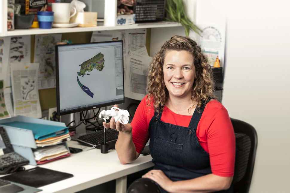 Flinders University Palaeontology Laboratory Postdoctoral Research Associate, Dr Alice Clement