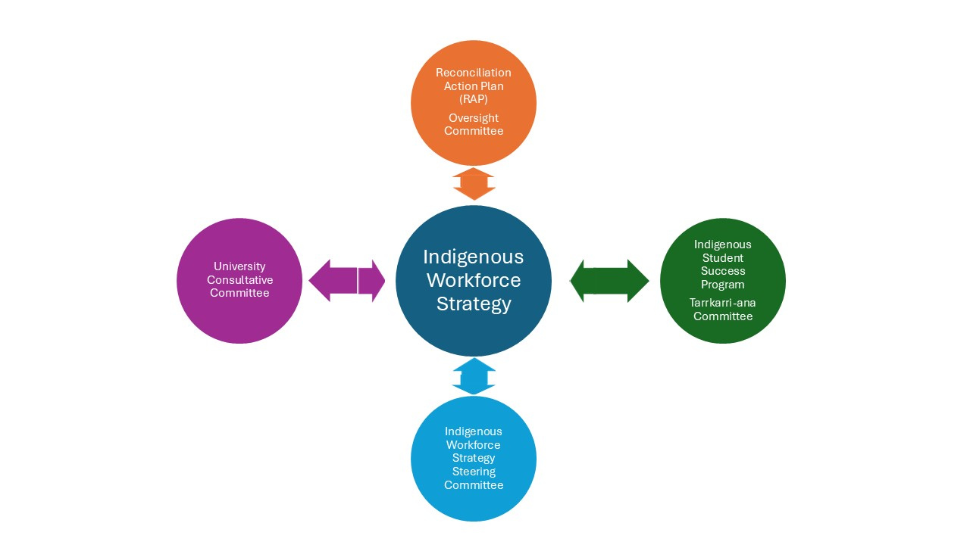 Diagram showing the Indigenous Workforce Strategy at the centre, connected to four supporting committees: the Reconciliation Action Plan (RAP) Oversight Committee (top), Indigenous Student Success Program Tarrkarri-ana Committee (right), Indigenous Workforce Strategy Steering Committee (bottom), and University Consultative Committee (left). Bidirectional arrows indicate ongoing collaboration and two-way communication between the strategy and each committee.