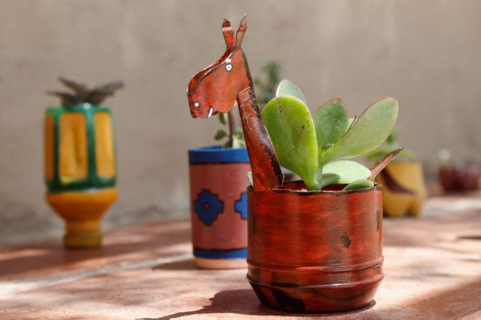 plastic-bottle-planter.jpg