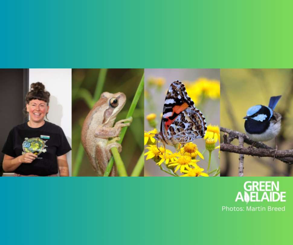 wildlife-gardening-workshop-green-adelaide.jpg