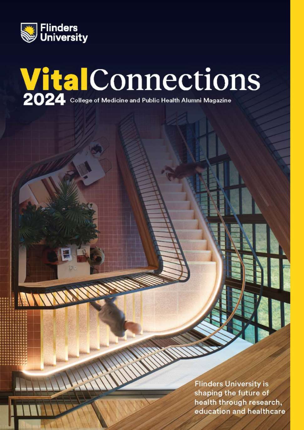 vital-connections-cover.jpg