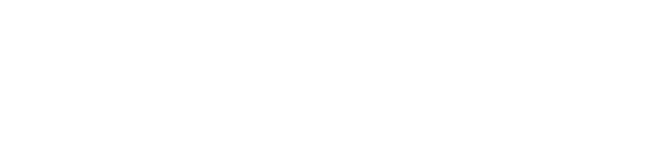 Jeff Bleich Centre for Democracy & Disruptive Technologies