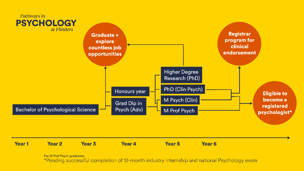 psych-pathways-graphic-landscape.png