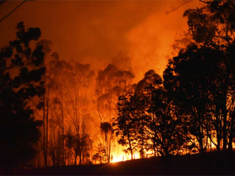 bushfire-action-planning.jpg