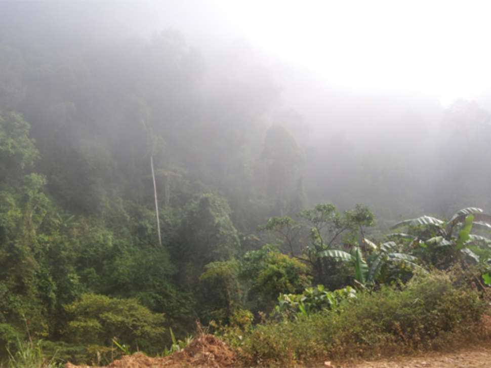 tam-pa-ling-cave-laos.jpg