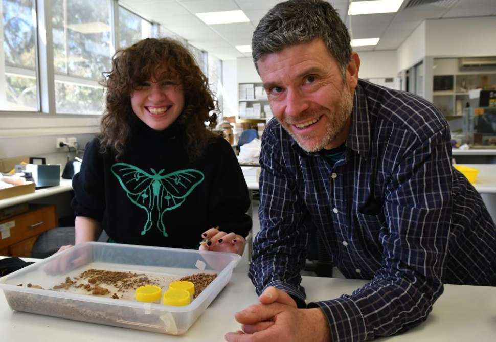 palaeo-sophie-gavin.jpg