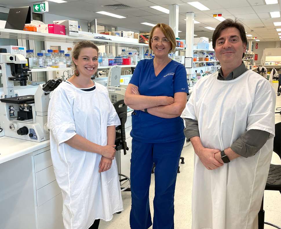 Associate Professor Sarah Cohen-Woods, Professor Bogda Koczwara and Associate Professor Michael Michael