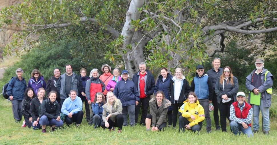 Little Penguin census group on Granite Island in 2020