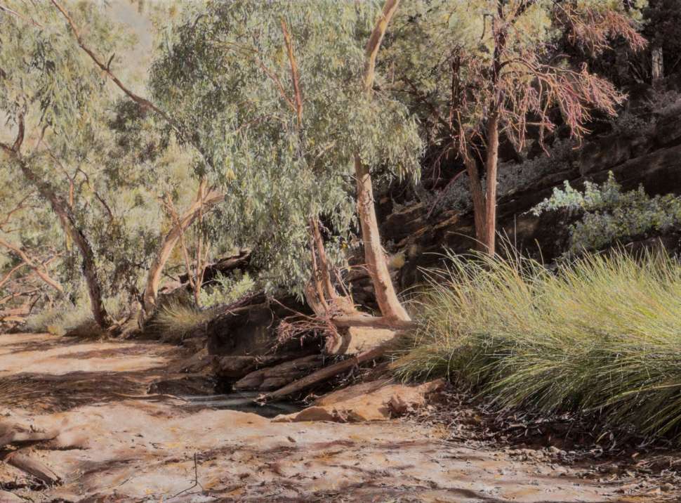1.CROPPED-Nici-Cumpston_Old-Mutawintji-Gorge-I_2023.jpg