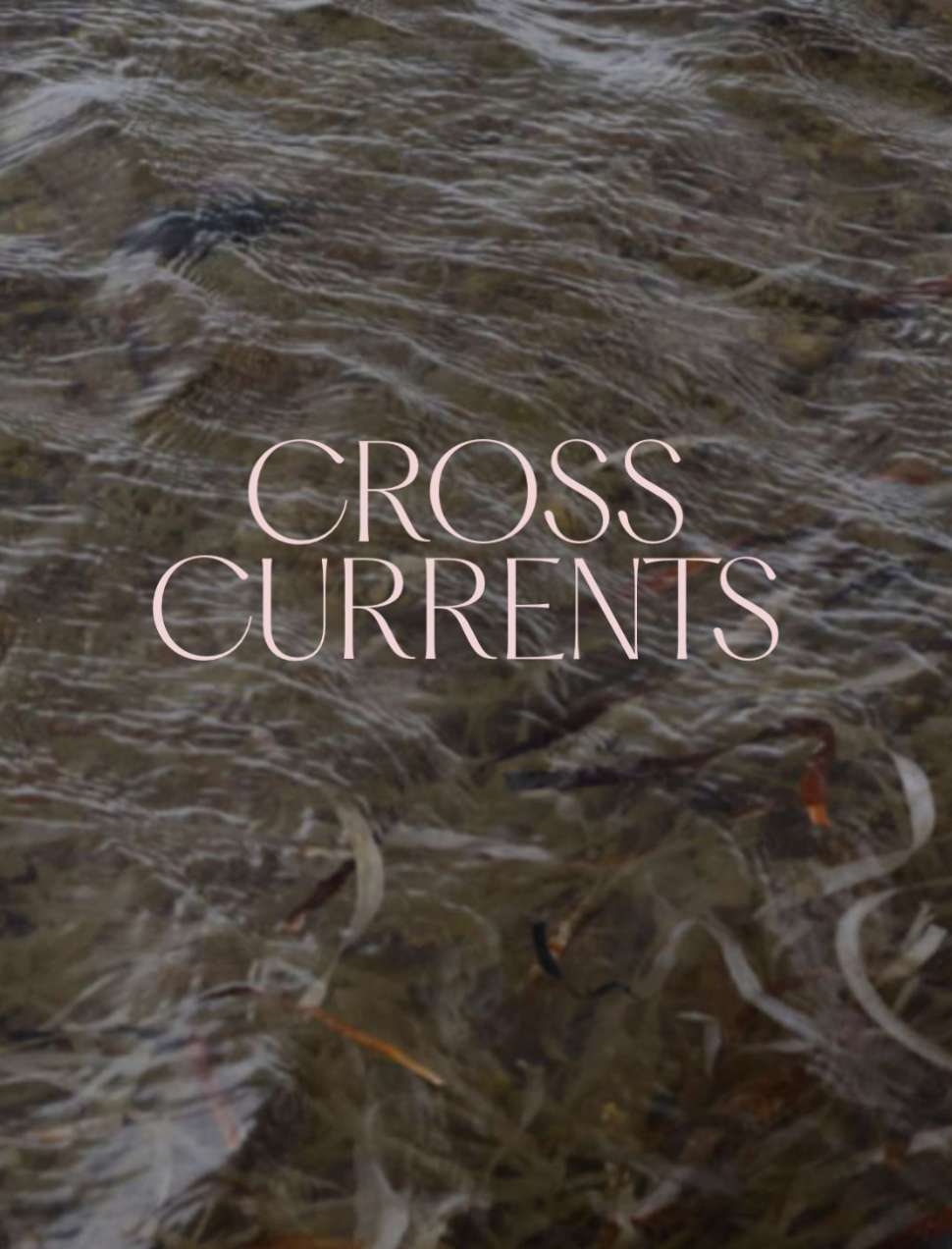 Crosscurrents Publication_Cover.jpg