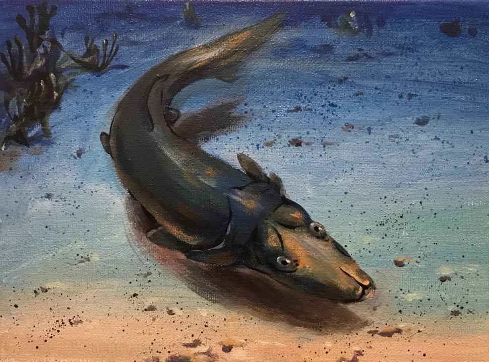 Life reconstruction of the 'platypus fish' by Jason art, Shenzhen