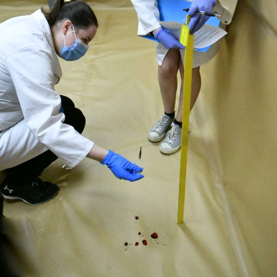 CP_Open Days_Event Sessions_Blood Splatter_1800x1800.jpg