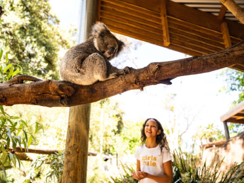 adelaide-zoo-credit-satc-and-tourism-australia.jpg