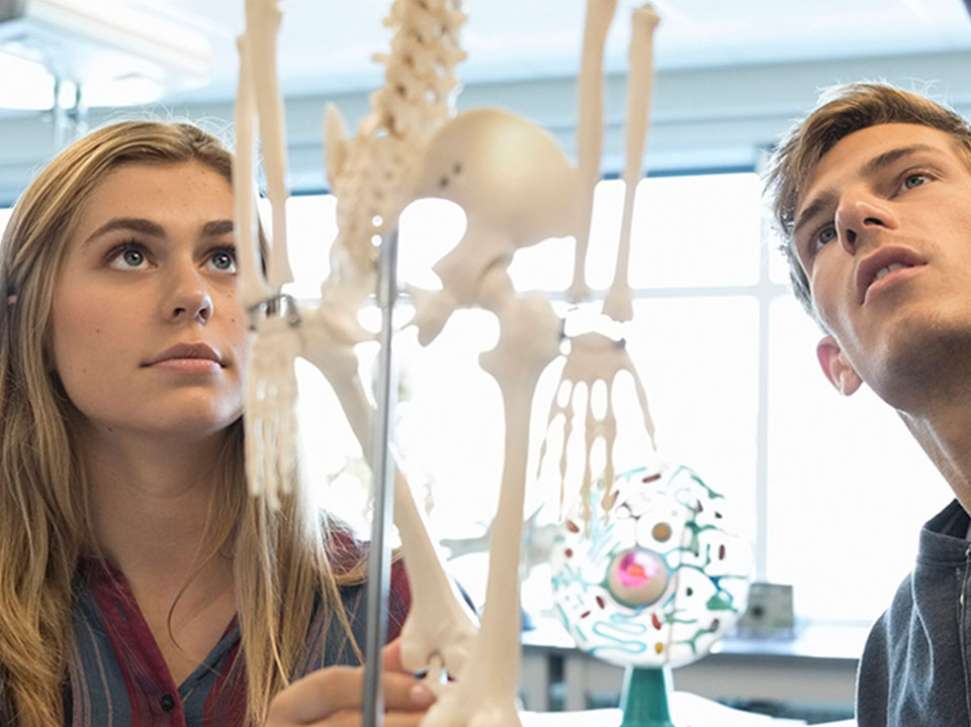 human-osteology.jpg