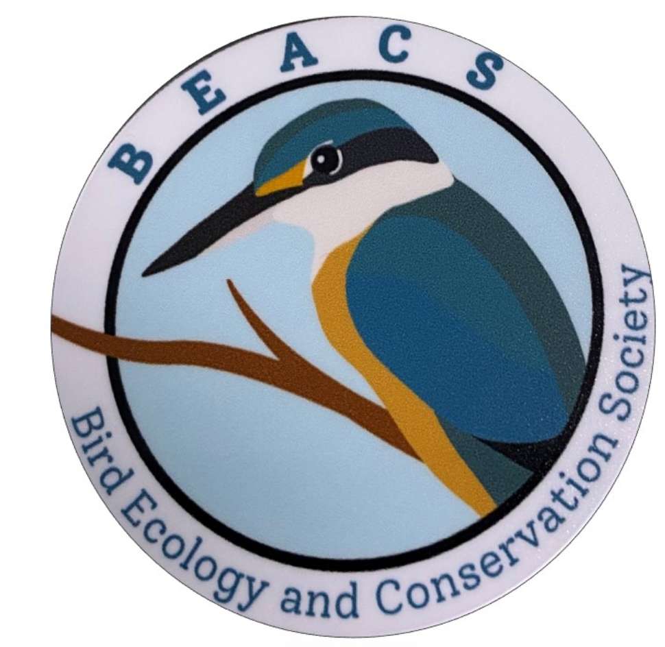 BEACS logo cropped.jpg