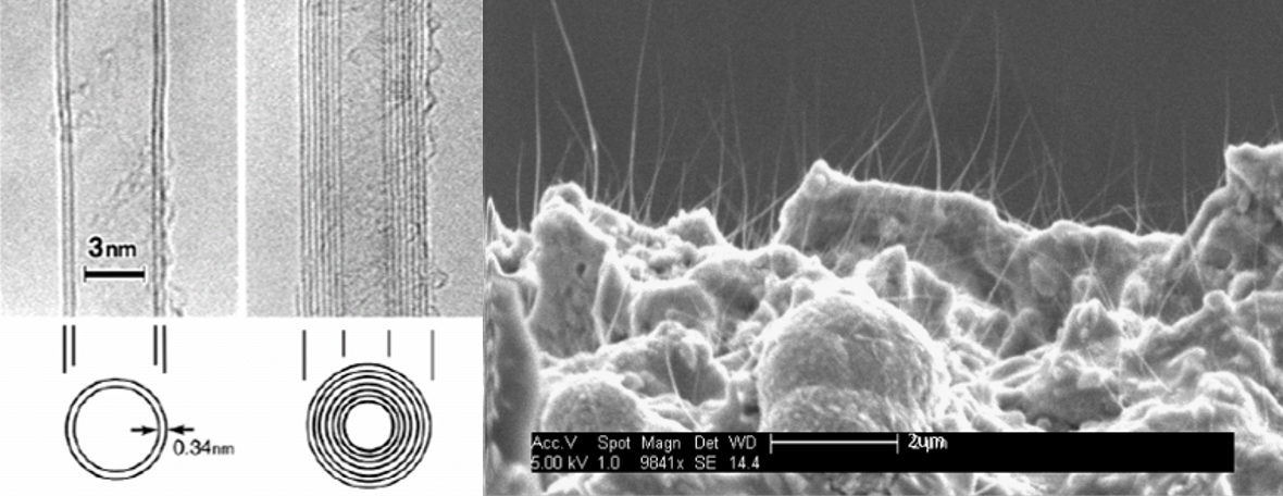 microscopy-micro-x